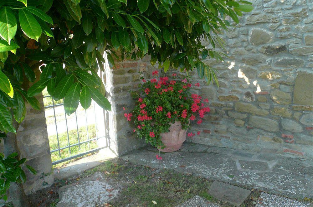 Il Gelso Apartment Cortona Exterior foto