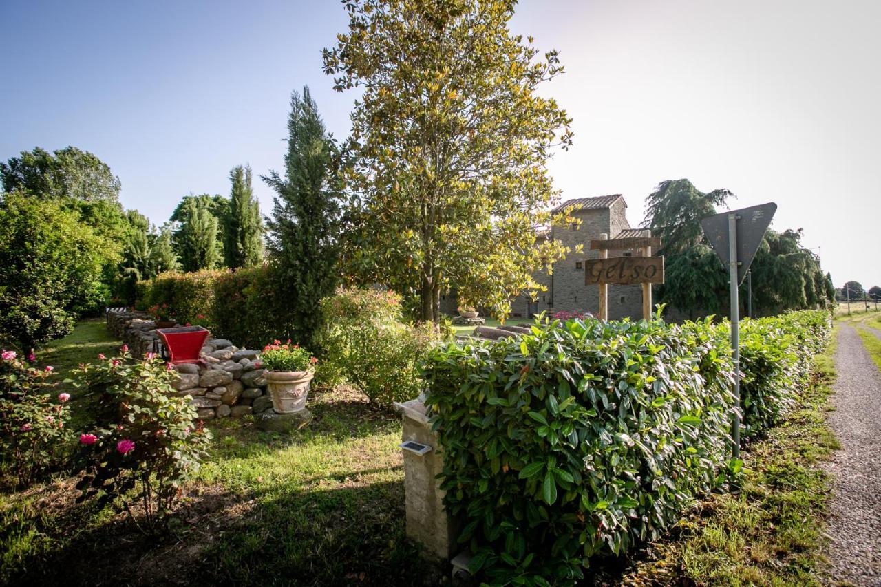 Il Gelso Apartment Cortona Exterior foto