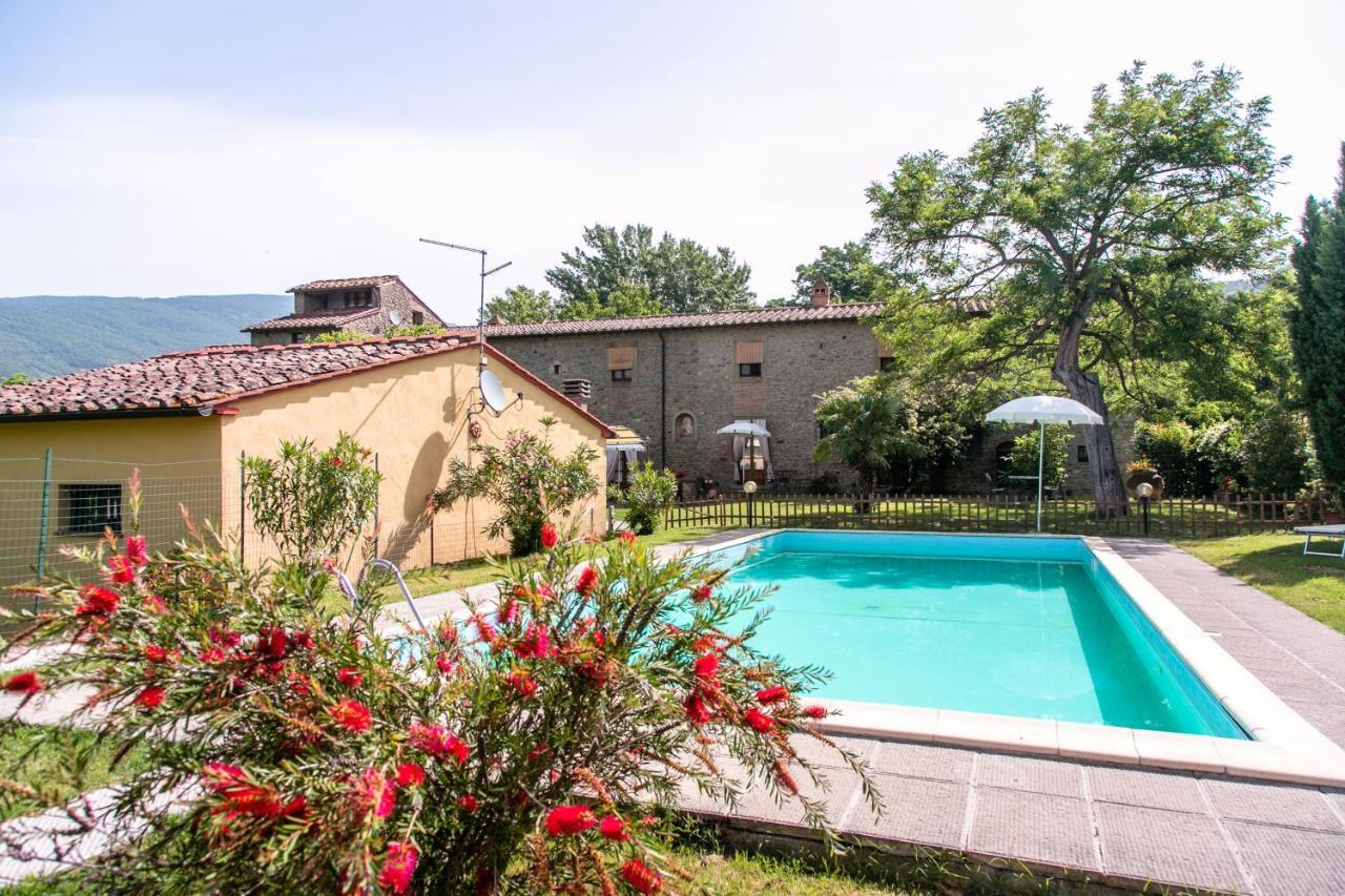 Il Gelso Apartment Cortona Exterior foto